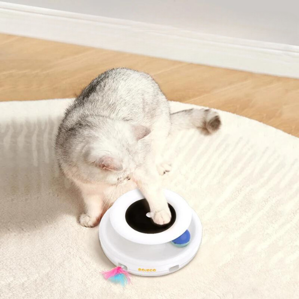 Smart Toys for Cats