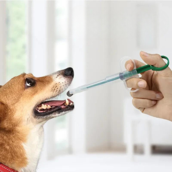 Medication Applicator for Animals