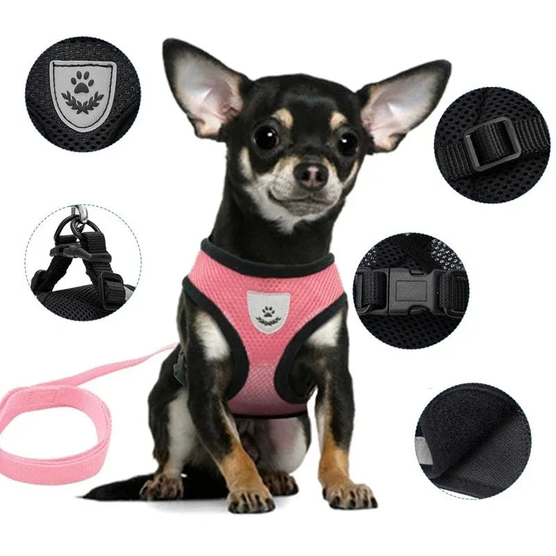 Adjustable Dog and Cat Harness with Leash