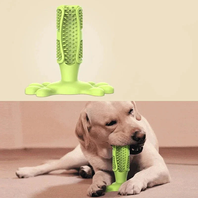 Dog Chew Toy