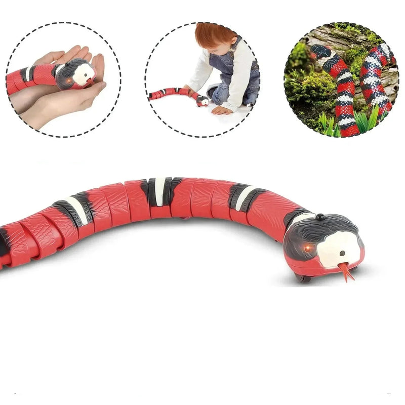 Interactive Snake Toy